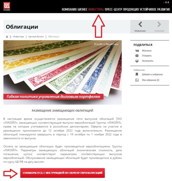ДОПОЛНИТЕЛЬНЫЙ ВЫПУСК ОБЛИГАЦИЙ