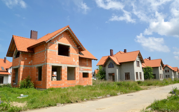 Фото: shutterstock.com/Irina Borsuchenko