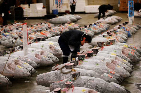 Фото:Toru Hanai / Reuters