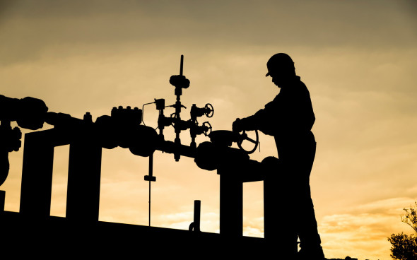 Фото: Shutterstock