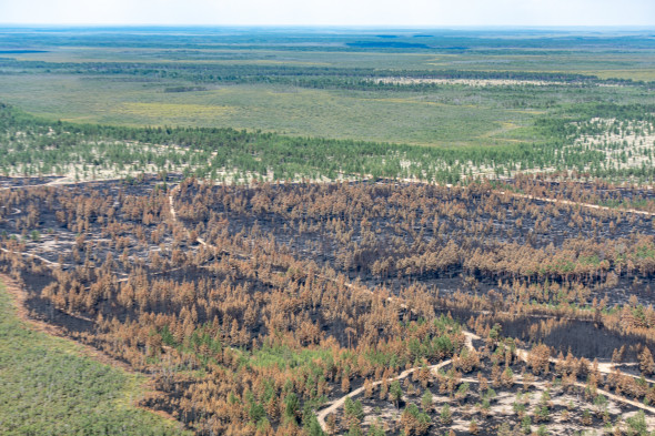 Фото: Денис Бушковский / ТАСС