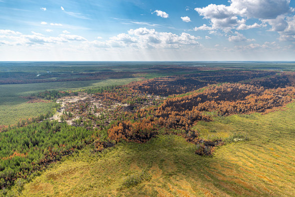 Фото: Денис Бушковский / ТАСС