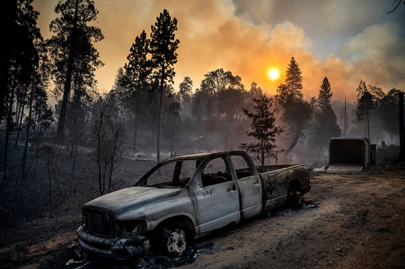The New York Times со ссылкой на Cal Fire сообщает, что разлетающиеся угли могут уничтожить дома на расстоянии до мили (1,6 км) от линии огня и являются причиной большей части разрушений имущества.
На фото: обгоревший пикап в районе Джерсидейл в округе Марипоса (Калифорния)