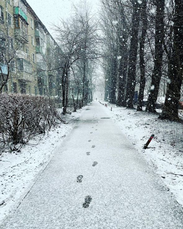Фото:zellock / Instagram
