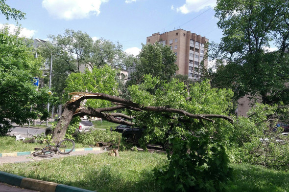 Москва