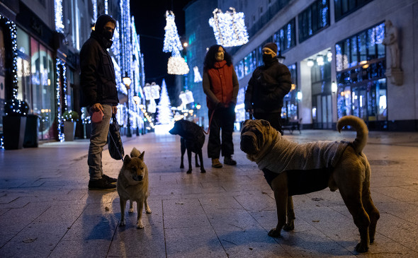 Фото: Orsi Ajpek / Getty Images