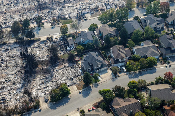 Фото: Rich Pedroncelli / AP