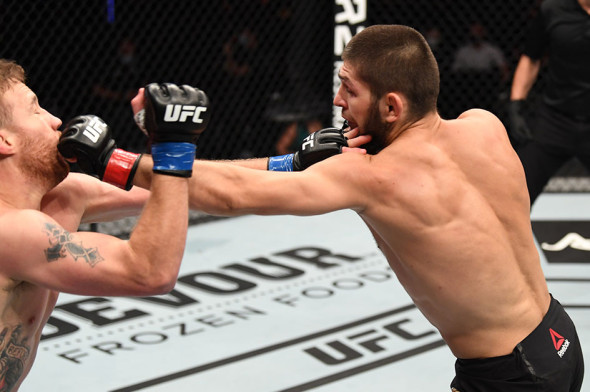 Фото:Josh Hedges / Zuffa LLC / Getty Images