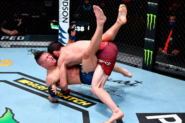Фото:UFC