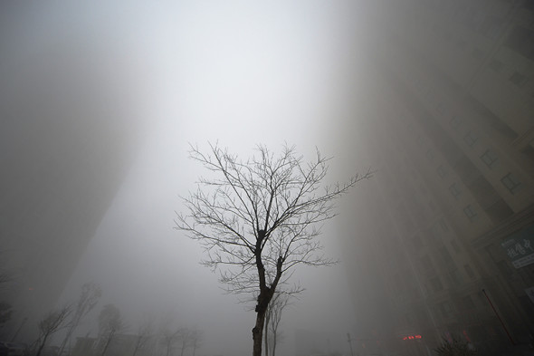 Фото:Reuters/Pixstream