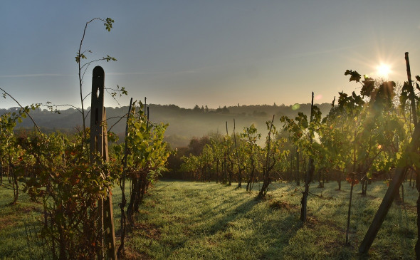 Фото: pixabay.com