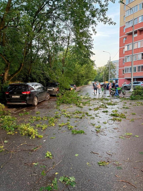 Фото: МСК (Москва и Подмосковье) / VK