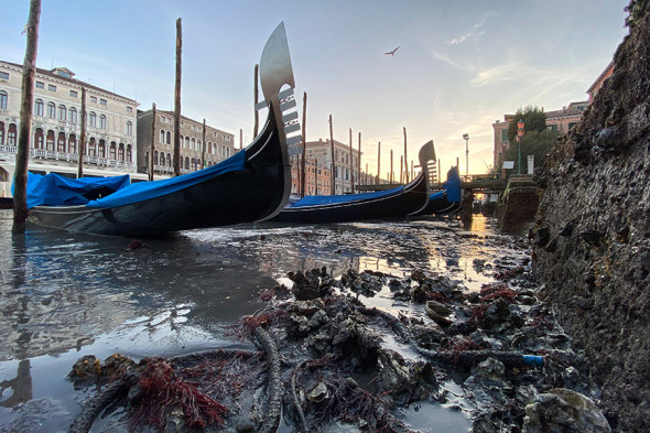 Фото: Luigi Costantini / AP