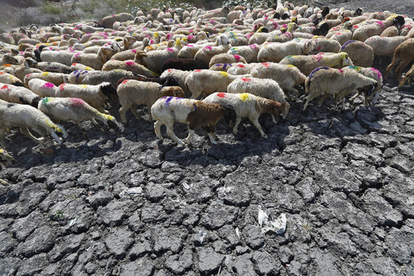Фото: REUTERS 2015