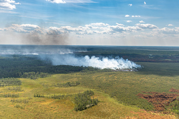 Фото: Денис Бушковский / ТАСС