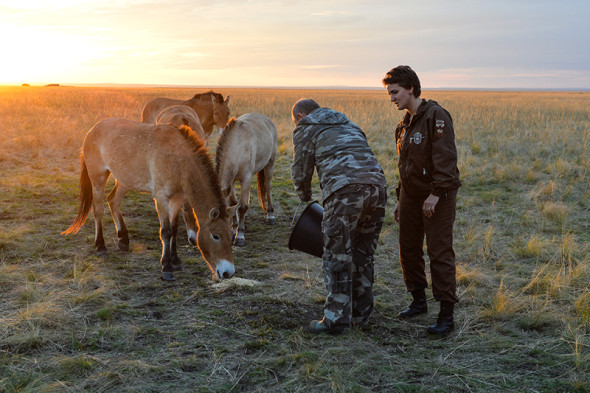 Фото:Алексей Дружинин/пресс-служба президента РФ/ТАСС