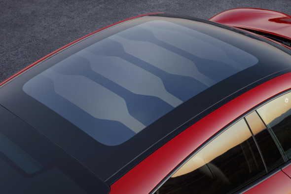 Фото: пресс-служба