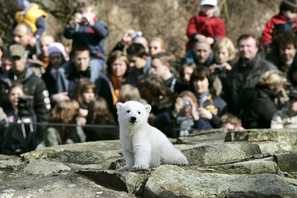 Фото:REUTERS 2014