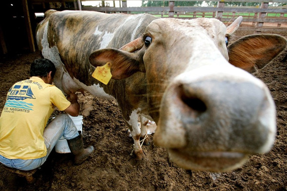 Фото:AP