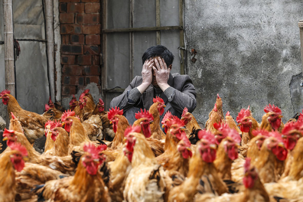 Фото:REUTERS 2014