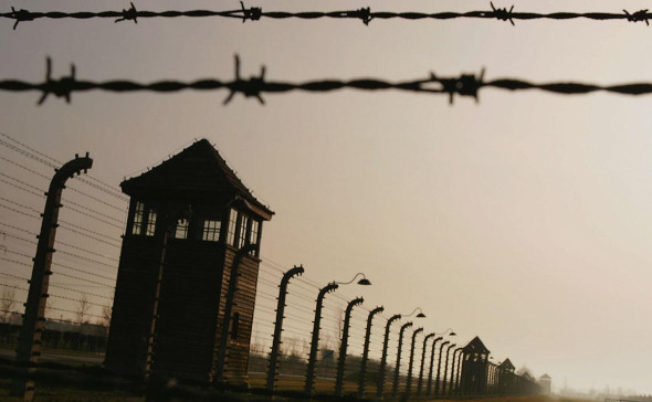 Власти Германии не пригласили Россию на памятные мероприятия к 9 мая