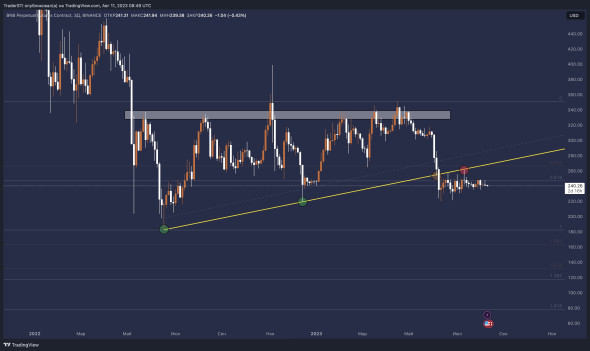 Крипто дубль