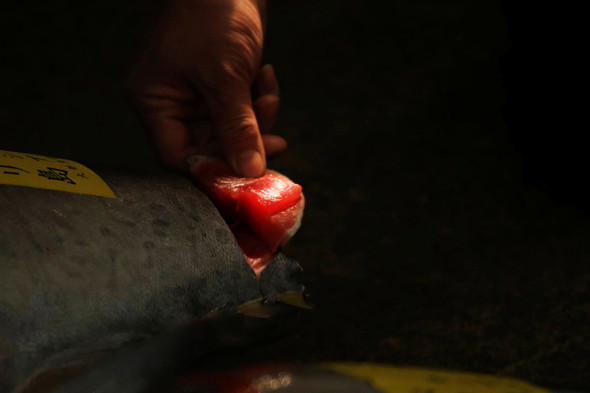 Фото:Toru Hanai / Reuters