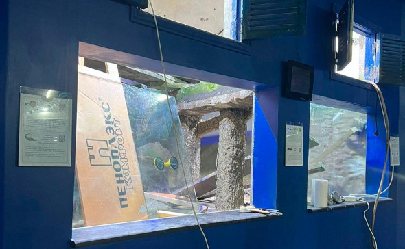 В Севастополе вновь открылся аквариум, где в шторм погибли 500 животных