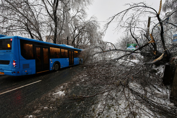 Фото:vl.ru