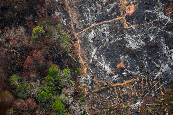 Фото: Ueslei Marcelino / Reuters