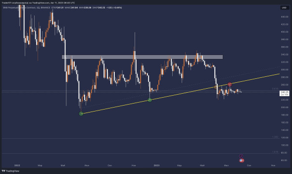 Крипто дубль