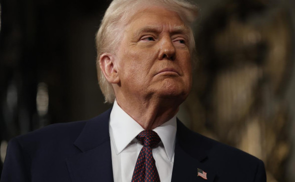 Трамп по меньшей мере восемь раз летал на частном самолете Эпштейна