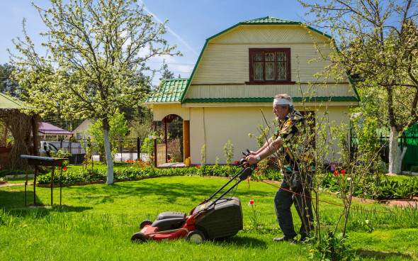 Фото: Galina Savina/shutterstock.com