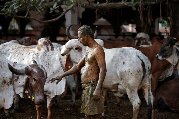 Фото:Amit Dave / Reuters