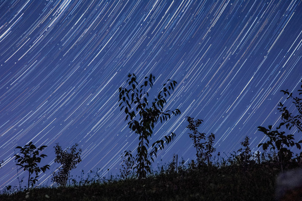 Фото: Сергей Мальгавко / ТАСС