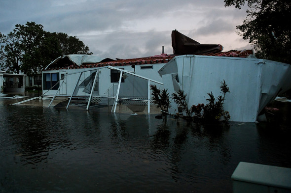 Фото:Bryan Woolston / Reuters