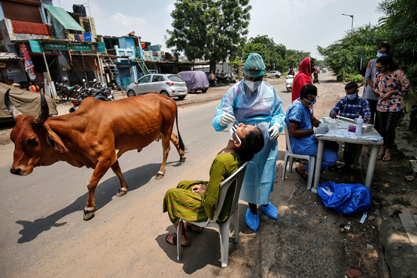 Фото:Amit Dave / Reuters