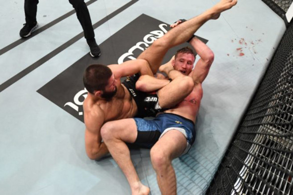 Фото:Josh Hedges / Zuffa LLC via Getty Images