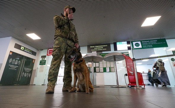 В двух московских аэропортах ввели временные ограничения полетов