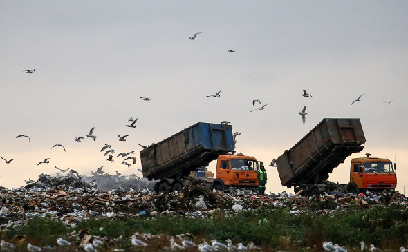 Сочинский мусор попал в уголовные сводки - очередная афера в мусорном бизнесе сферы ТКО
