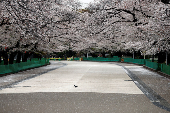 Фото:Issei Kato / Reuters