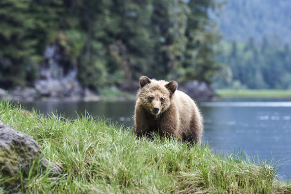 Фото:Getty Images