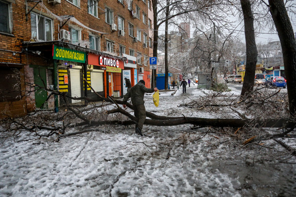 Фото:vl.ru