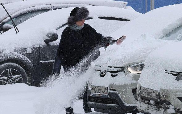 Два корги в высоту: сколько снега выпадет в Москве и области. Инфографика