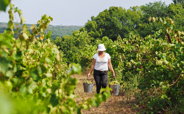 Фото: Виталий Тимкив / ТАСС
