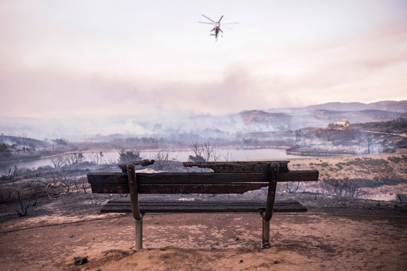 Фото: Stuart Palley via ZUMA Wire / ТАСС