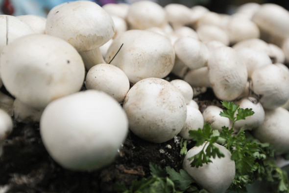 Фото: Ведомости/PhotoXPress.ru