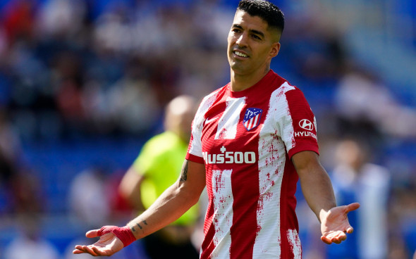 Фото: Global Look Press