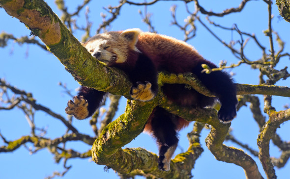 Фото: Rebecca Naden / Reuters