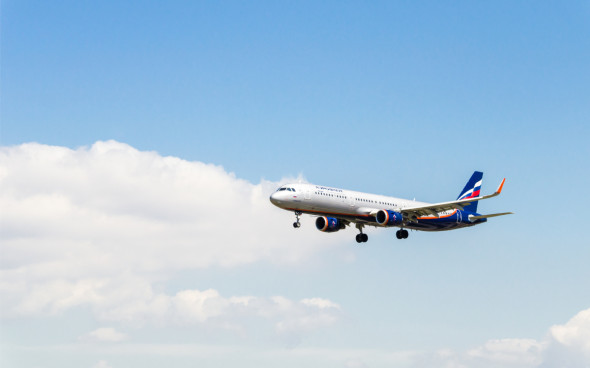 Фото: Shutterstock